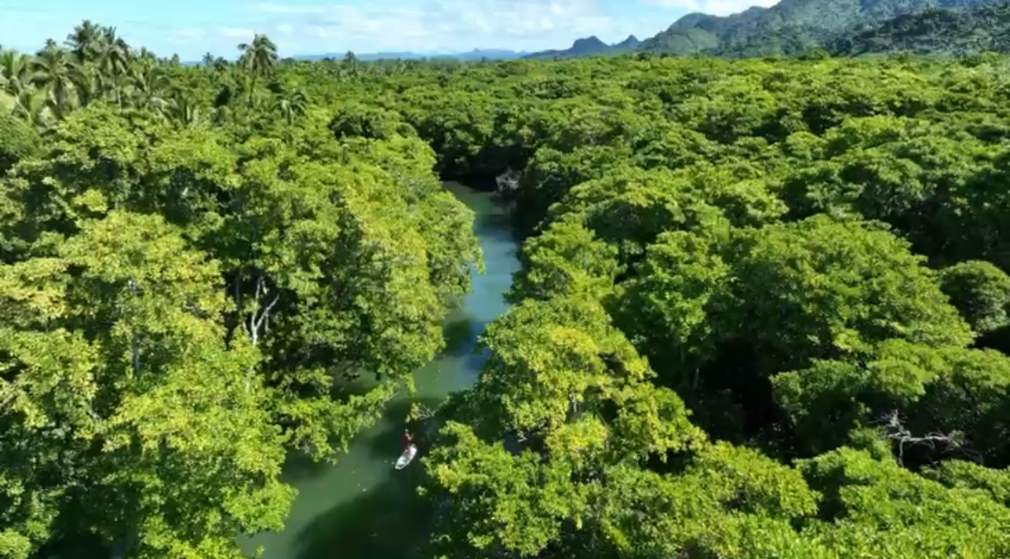 SUP jungle river adventure