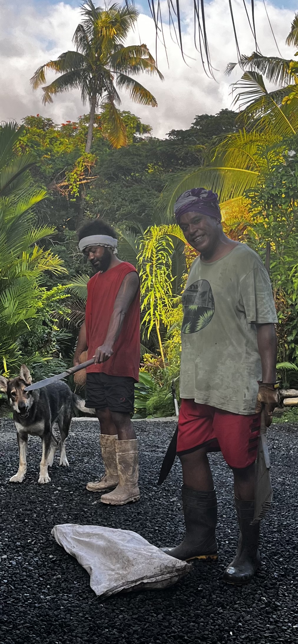 Tropical plants and garden life