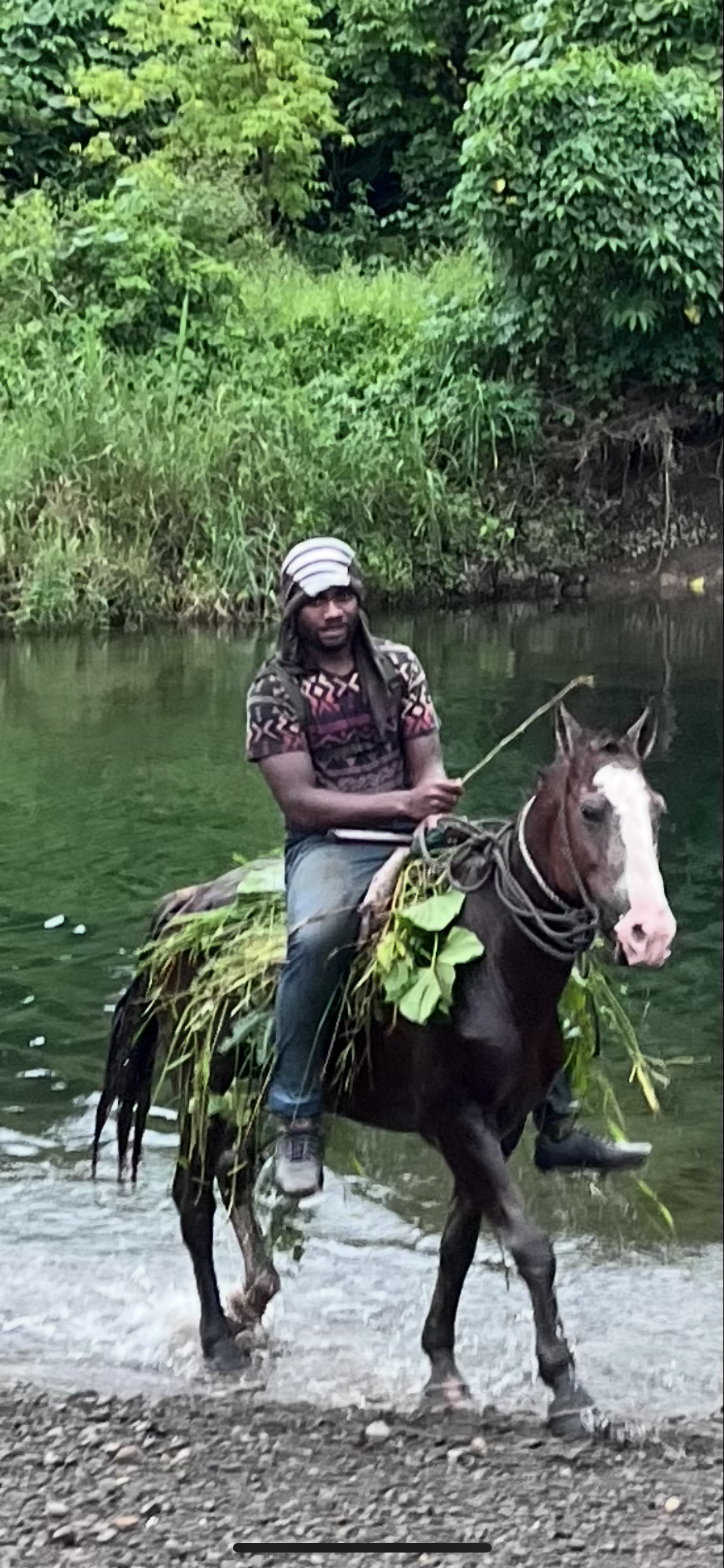 Horse riding through a river