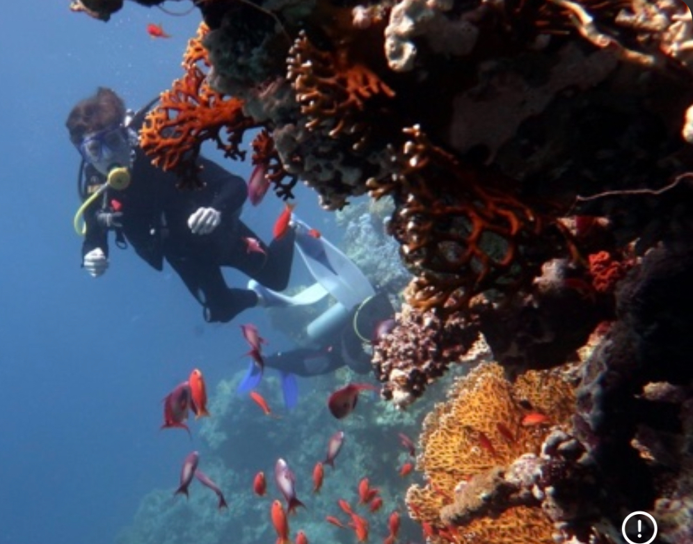 Snorkeling Fiji reefs