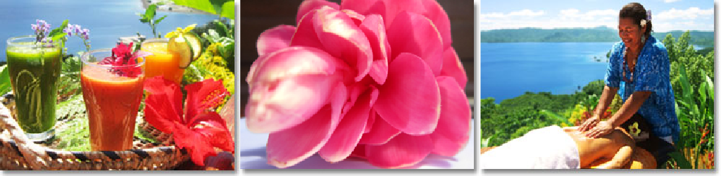 Detox-Advanced-Banner Detox-Advanced-Banner