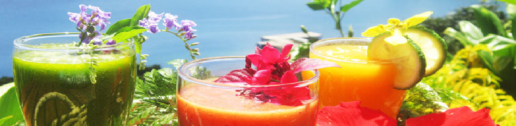 Juice-Banner Juice-Banner