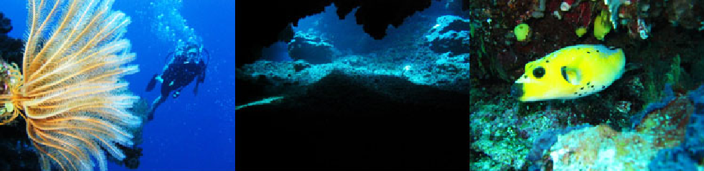 dive-2