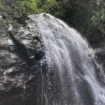 IMG-20231008-WA0003