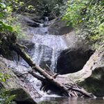 IMG-20231019-WA0007