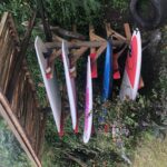IMG-2956